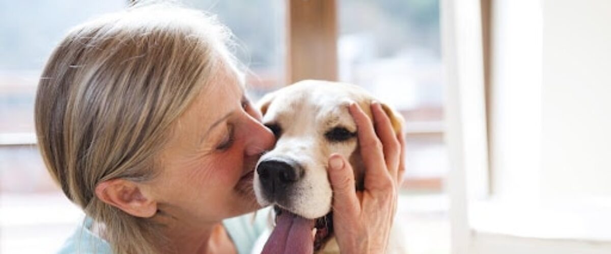 Terapia Com Cães:  Saiba os Benefícios Oferecidos aos Idosos